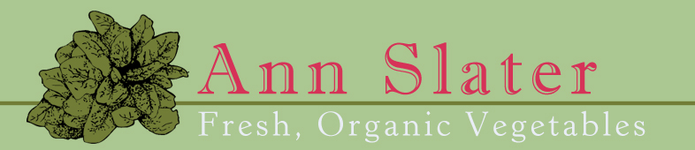 Ann Slater Organics